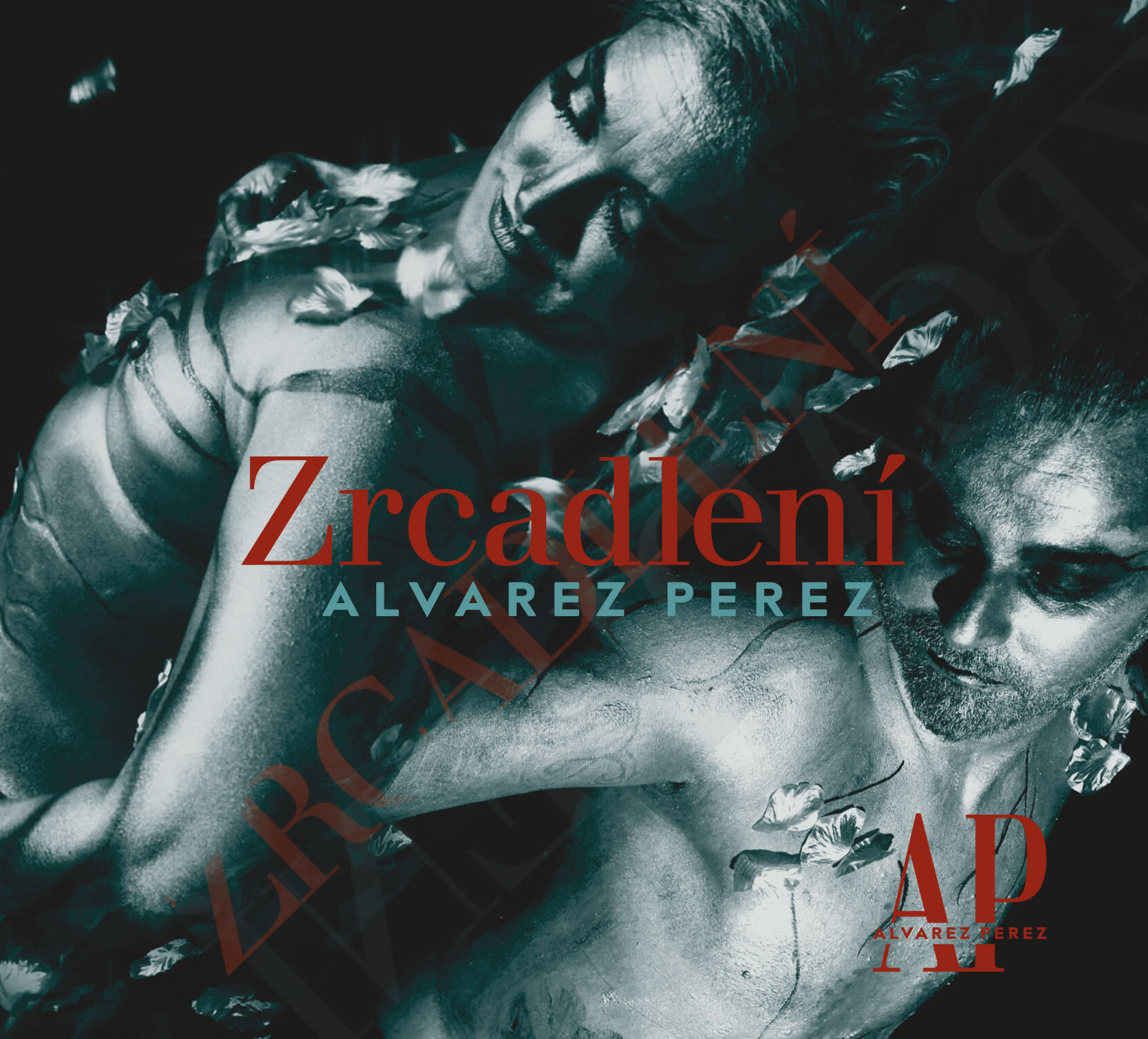 Zrcadlení